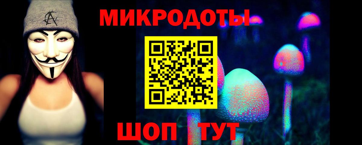 Псилоцибиновые грибы MAGIC MUSHROOMS  Вход с VPN  Ковров 